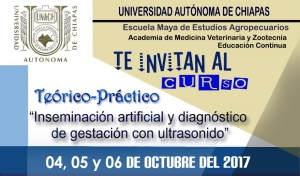 Curso "Inseminación artificial y diagnóstico de gestación con ultrasonido"