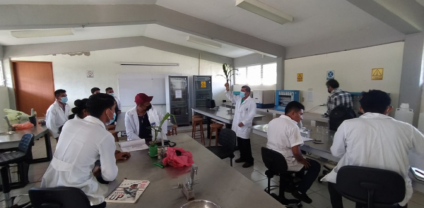 PRACTICA DE EDAFOLOGÍA EN EL LABORATORIO DE PLANTA