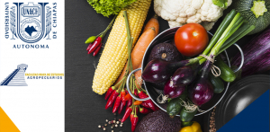 conferencias Magistrales: “La usabilidad, dimensión de la seguridad alimentaria y su importancia en una alimentación correcta”