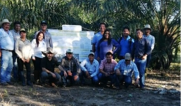 inicio el Diplomado: Aplicación de buenas prácticas agrícolas en el cultivo de palma de aceite