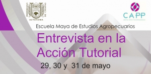 Curso "Entrevista en la Acción Tutorial"