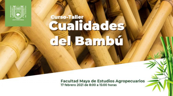 CURSO-TALLER: CUALIDADES DEL BAMBÚ