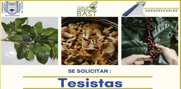 CONVOCATORIA TEISTAS GRUO BAST