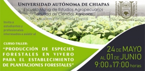 Curso-taller: “Producción de especies  forestales en vivero  para el establecimiento  de plantaciones forestales”