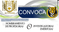 Convocatoria para la presentación de propuestas para elegir a académicos(as) para obtener el nombramiento de profesor(a) o investigador(a) emérito(a)