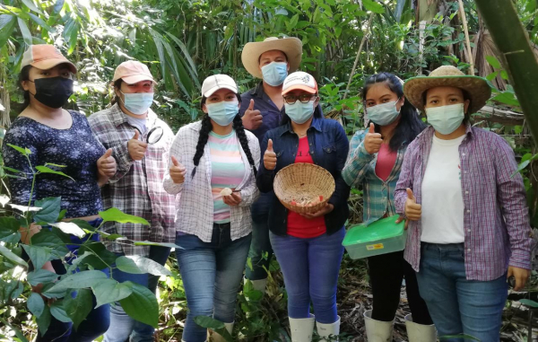 ACTIVIDADES RELACIONADAS CON LOS PROYECTOS QUE DESARROLLAN LOS INTEGRANTES DEL GRUPO COLEGIADO “BIOTECNOLOGÍA AGROPECUARIA SUSTENTABLE DEL TRÓPICO” (BAST)