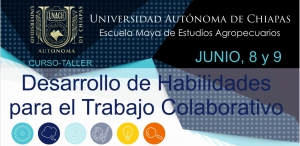 Curso-Taller "Desarrollo de Habilidades para el Trabajo Colaborativo"