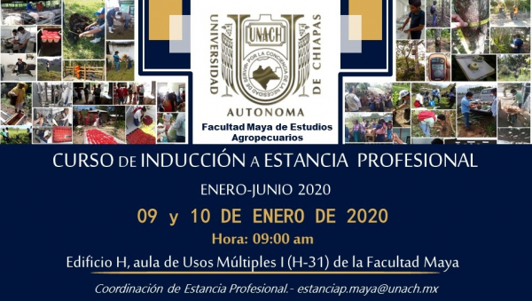 CURSO DE INDUCCIÓN A ESTANCIA PROFESIONAL ENERO-JUNIO 2020