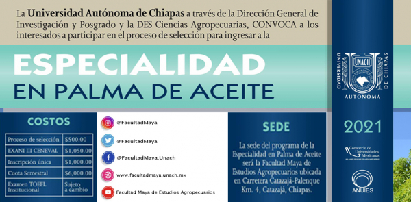 CONVOCATORIA: ESPECIALIDAD EN PALMA DE ACEITE