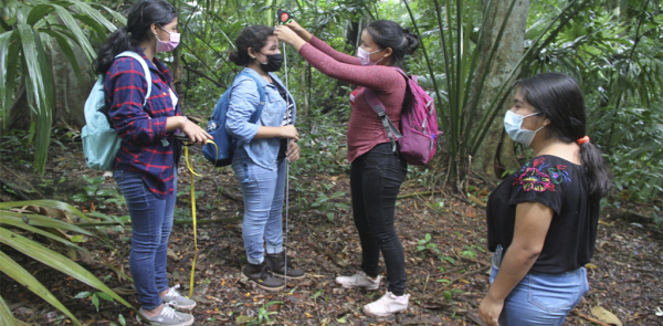 LEVANTAMIENTO BIOLÓGICO DE LA FACULTAD MAYA DE ESTUDIOS AGROPECUARIOS