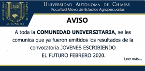 Resultados de la convocatoria JÓVENES ESCRIBIENDO EL FUTURO FEBRERO 2020