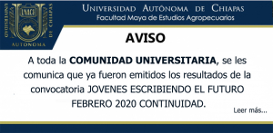 Resultados de la convocatoria JÓVENES ESCRIBIENDO EL FUTURO FEBRERO 2020 CONTINUIDAD