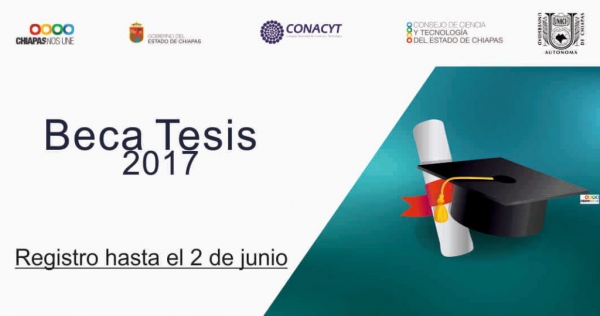 Beca Tesis 2017