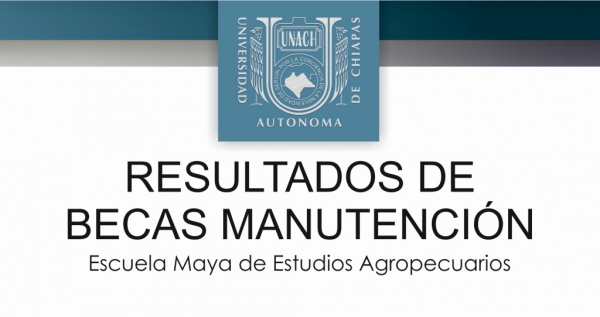 Resultados de becas manutención