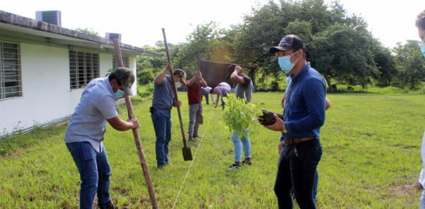 REFORESTACIÓN CON ÁRBOLES FRUTALES Y FORESTALES EN FACULTAD MAYA DE ESTUDIOS AGROPECUARIOS