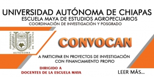 CONVOCATORIA PROYECTOS DE INVESTIGACIÓN CON FINANCIAMIENTO PROPIO