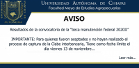 RESULTADOS DE LA CONVOCATORIA "BECA MANUTENCIÓN FEDERAL 2020II"