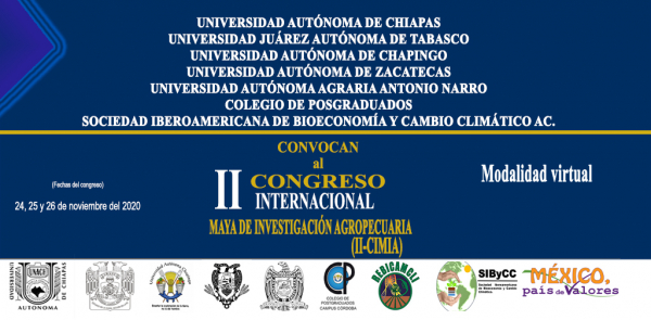 II CONGRESO INTERNACIONAL MAYA DE INVESTIGACIÓN (II-CIMIA)