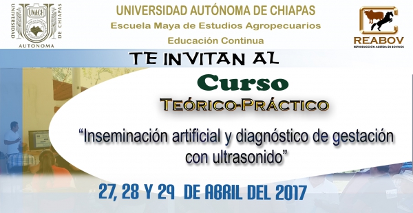 Curso &quot;Inseminación artificial y diagnóstico de gestación con ultrasonido&quot;