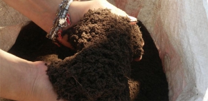 Estudiantes de agronomía elaboran abonos orgánicos